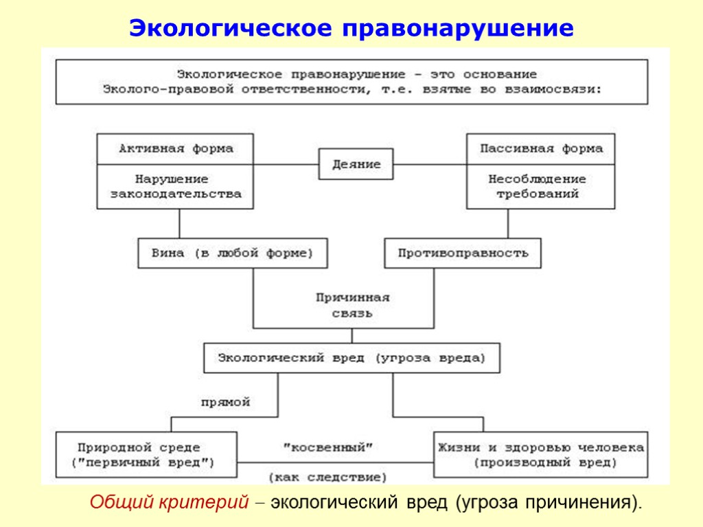 Экологическое правонарушение Общий критерий  экологический вред (угроза причинения).